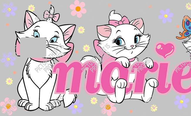 Bank  Card Sticker-BC-1374